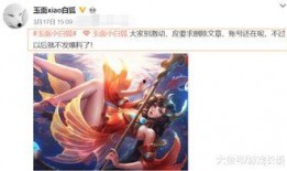 王者爆料白狐视频,王者爆料视频深度解析